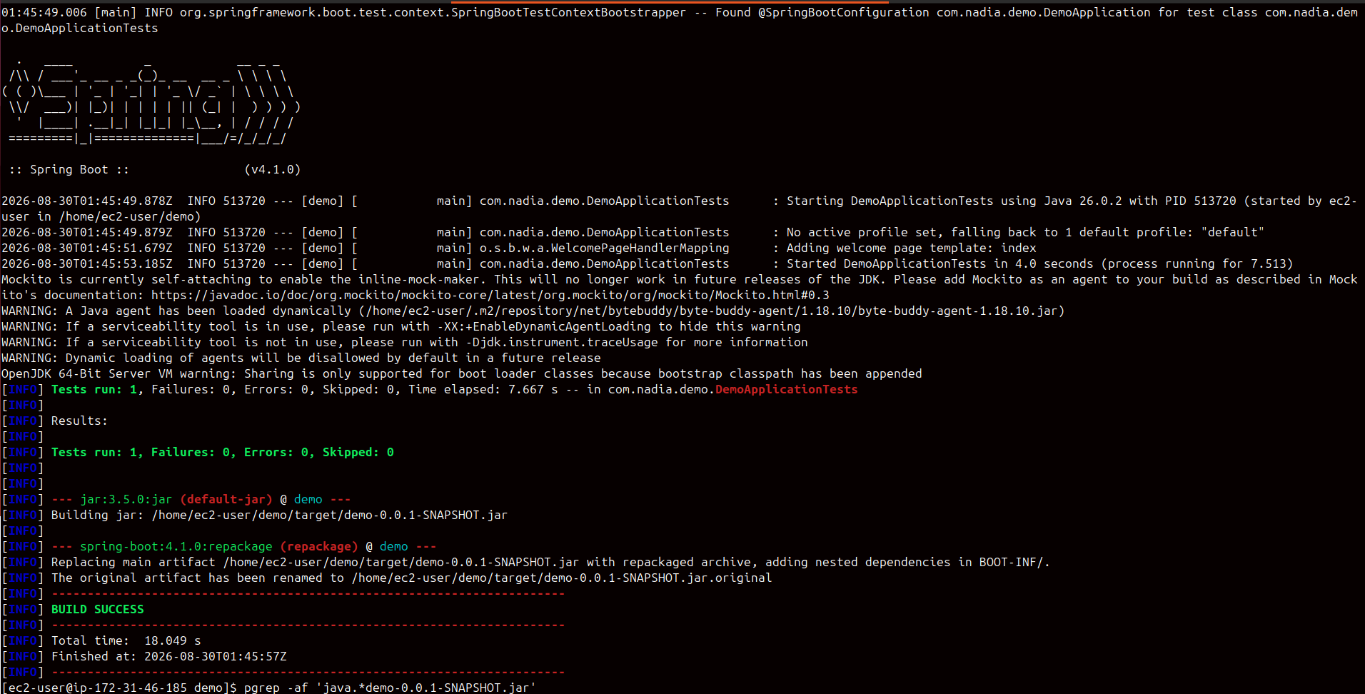 Pathwaays deployment commands running in a terminal